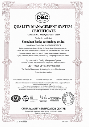 ISO 9001 (Englisch)